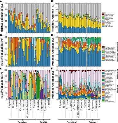 A poisoned apple: First insights into community assembly and networks of the fungal pathobiome of healthy-looking senescing leaves of temperate trees in mixed forest ecosystem